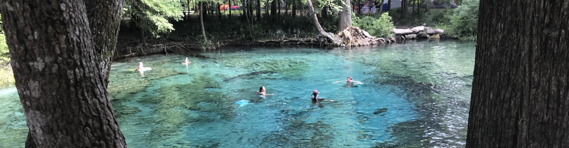 Gourmet dining scene in High Springs, FL, US