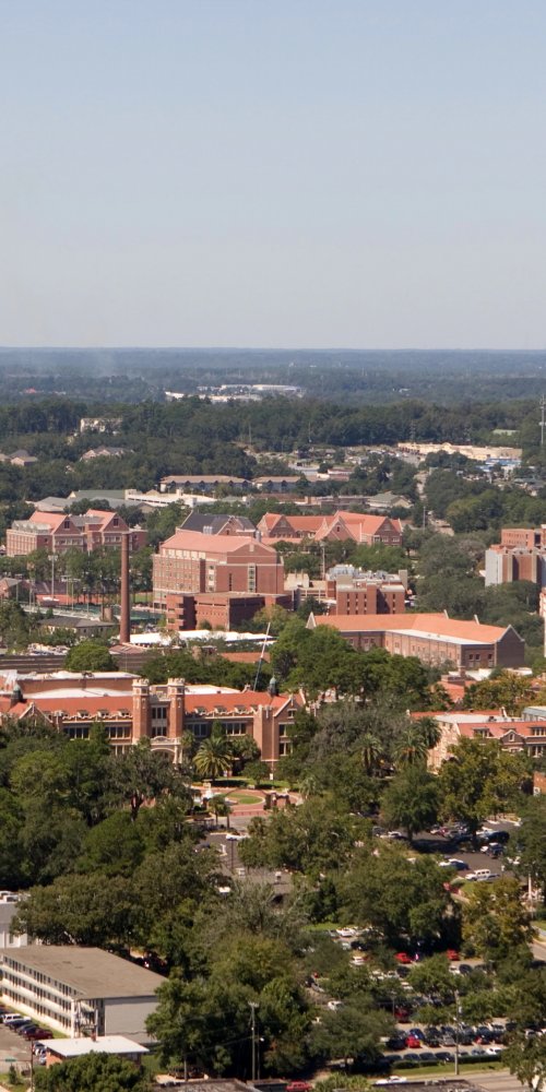 Dining ambience in Tallahassee