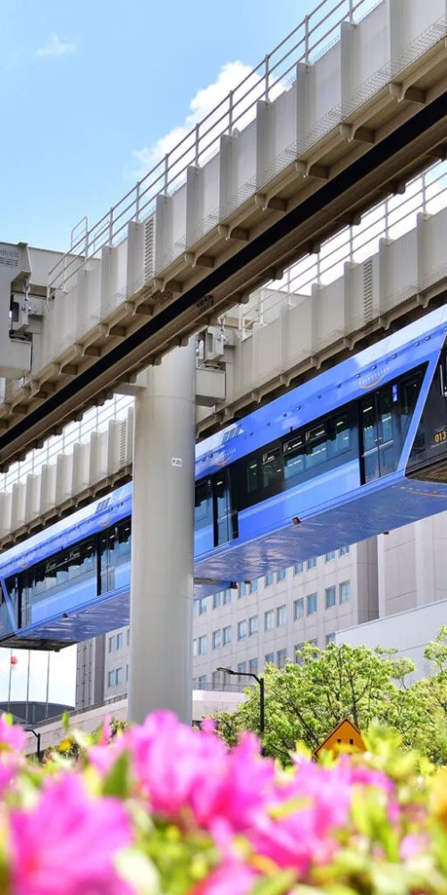 Dining ambience in Chiba, JP