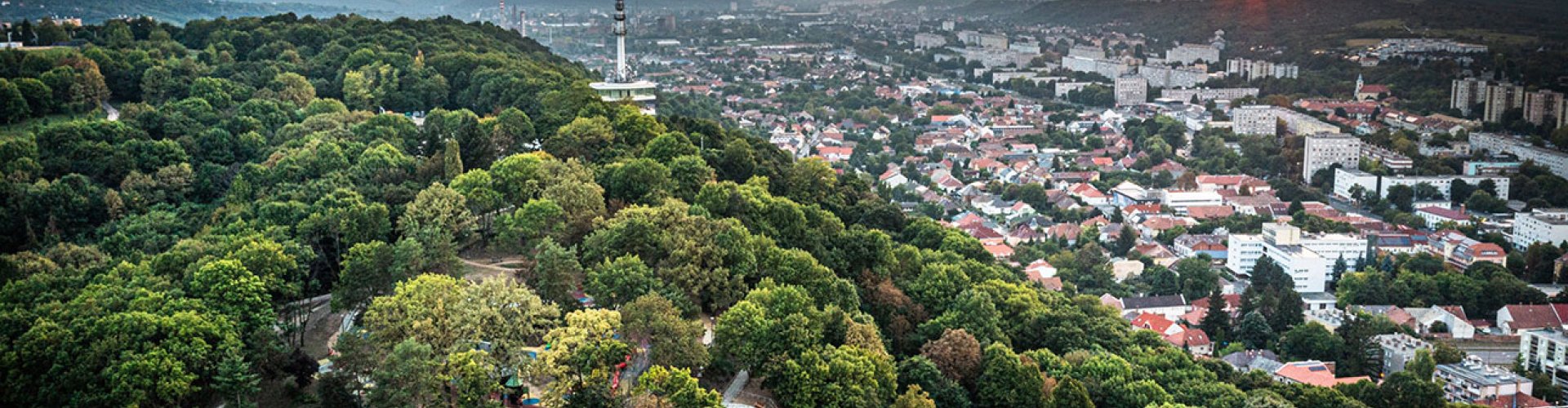 Dining in Miskolc, HU nightlife scene