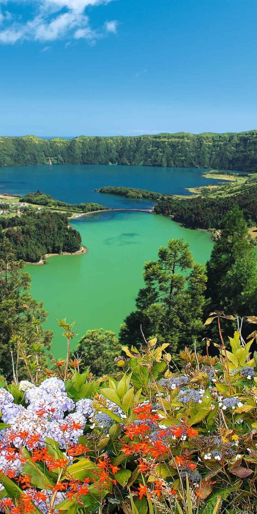 Dining ambience in São Miguel
