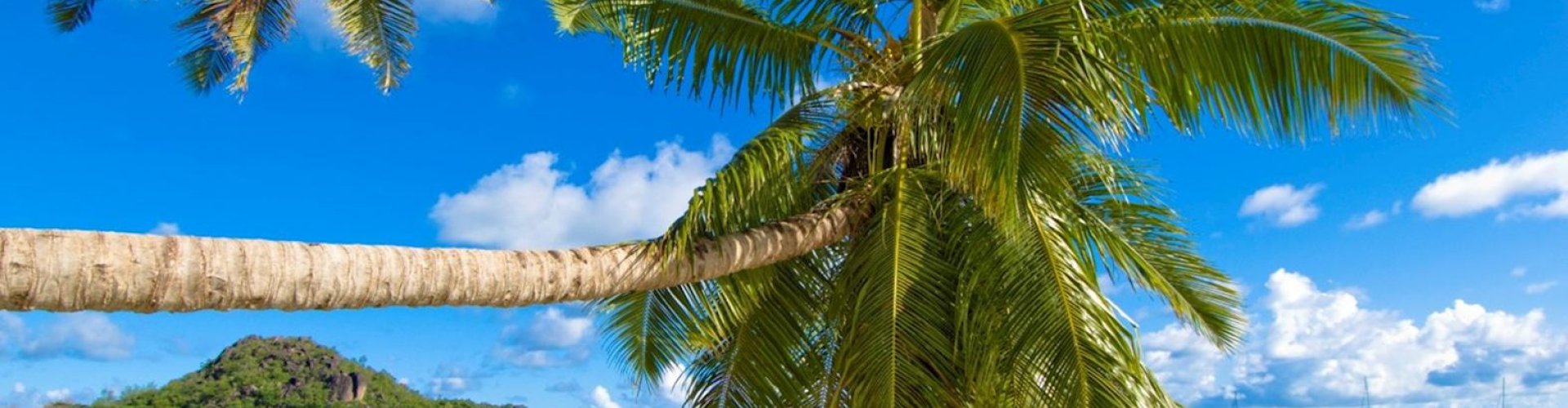 Best restaurants in Praslin, SC