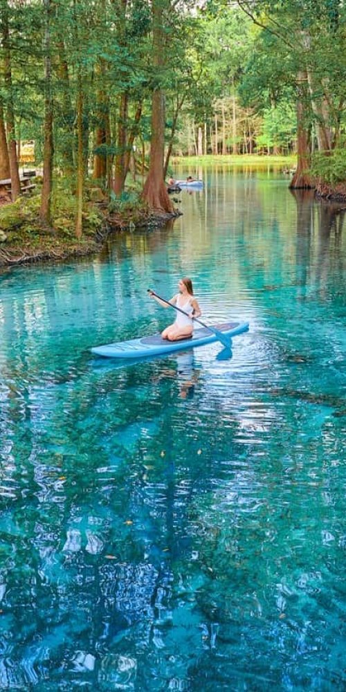 Dining ambience in High Springs, FL, US
