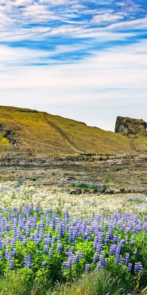 Keflavik dining ambience