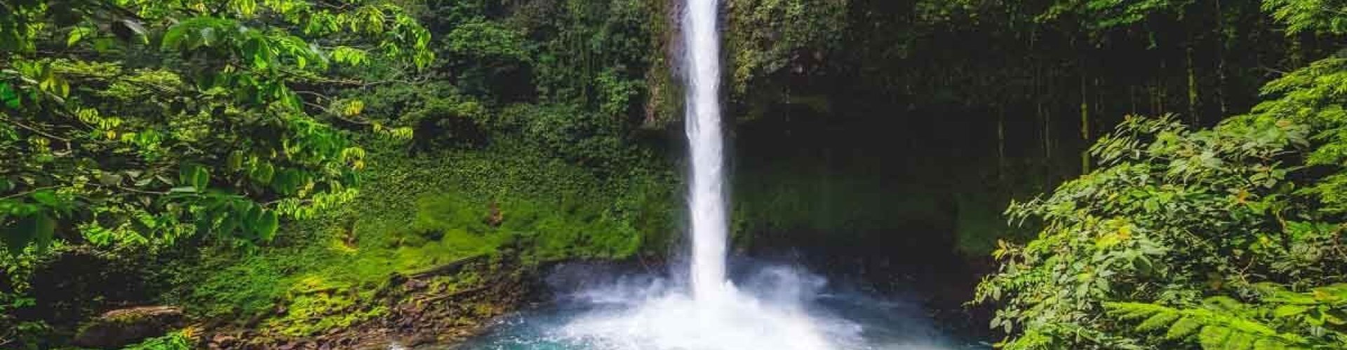 Best restaurants in La Fortuna, CR