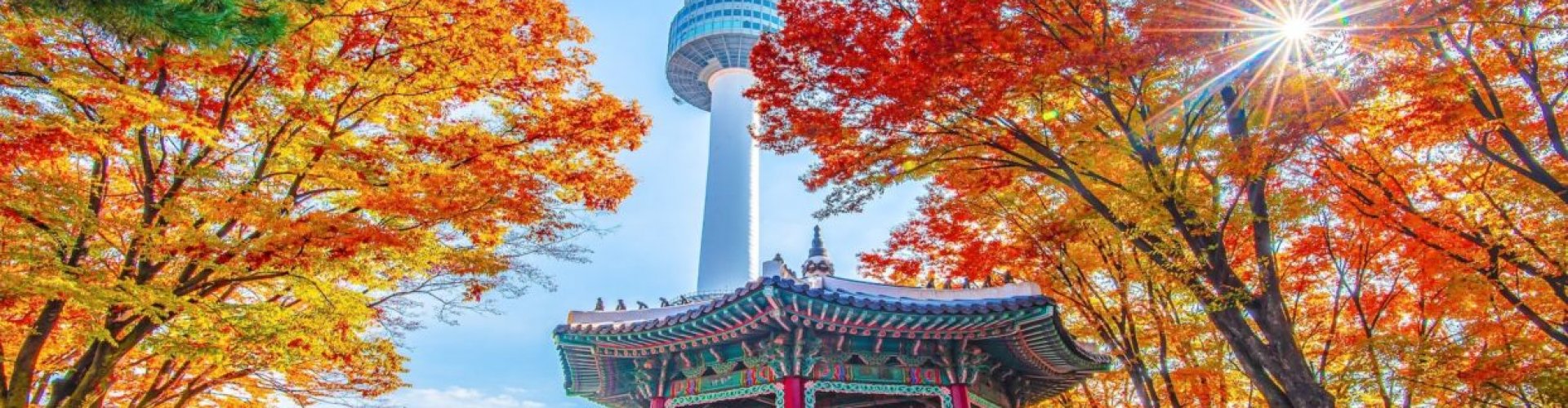 Best restaurants in Seoul, KR