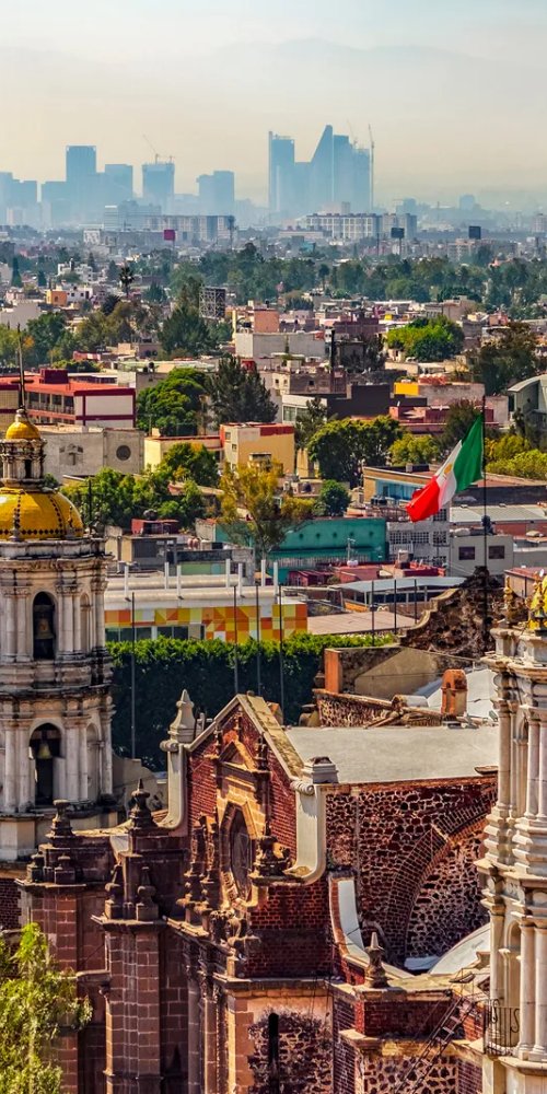 Dining ambience in Guadalupe