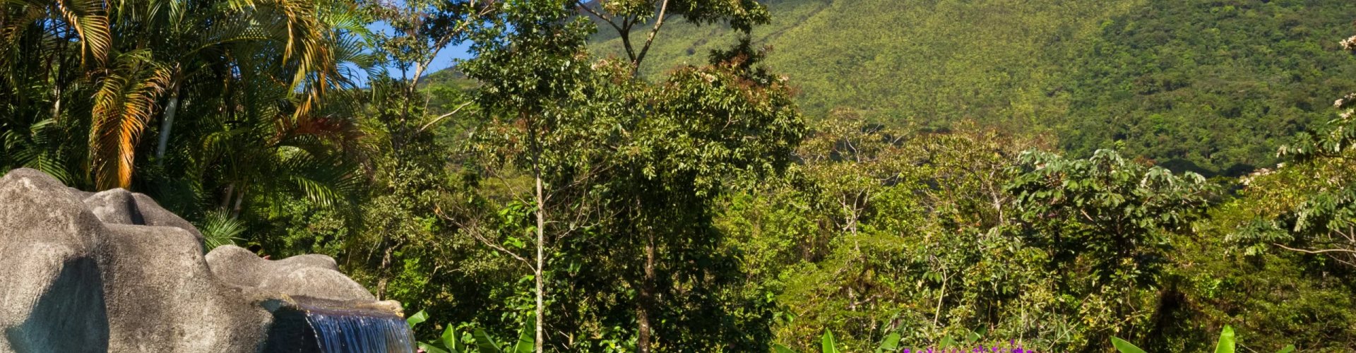 Scenic dining in La Fortuna, CR