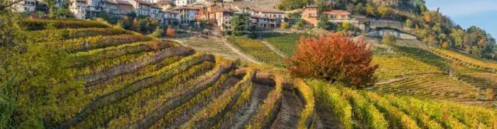 Best restaurants in Bernezzo, IT