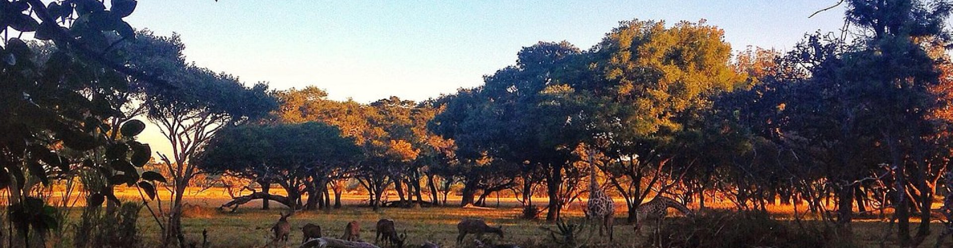 Best restaurants in Harare, ZW