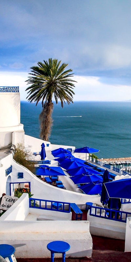 Dining ambience in Tunis, TN