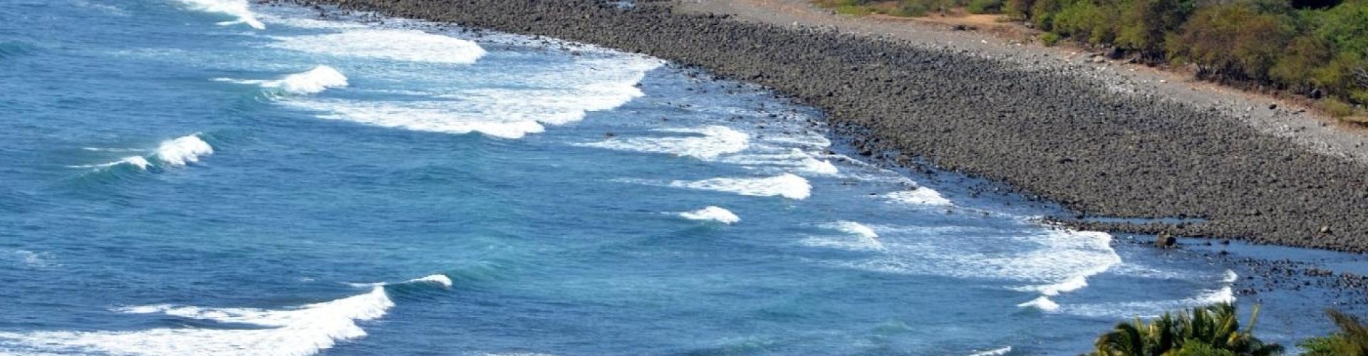 Salvador dining landscape