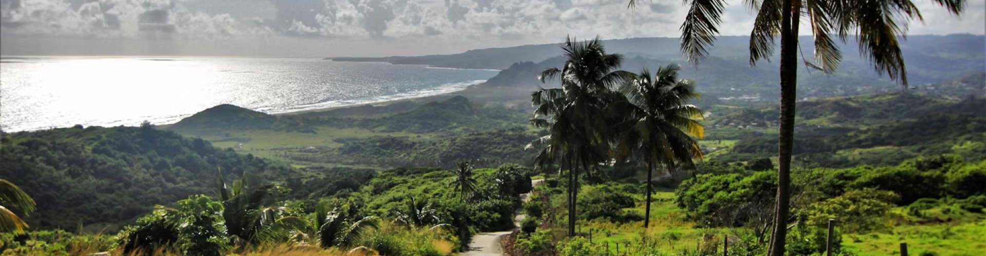 Best restaurants in Barbados, BB