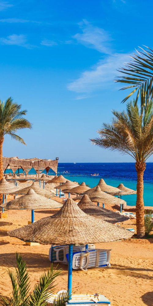 Dining ambience in Sharm El Sheikh