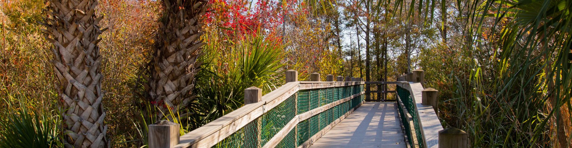 Delightful dining scene in Niceville, FL, US