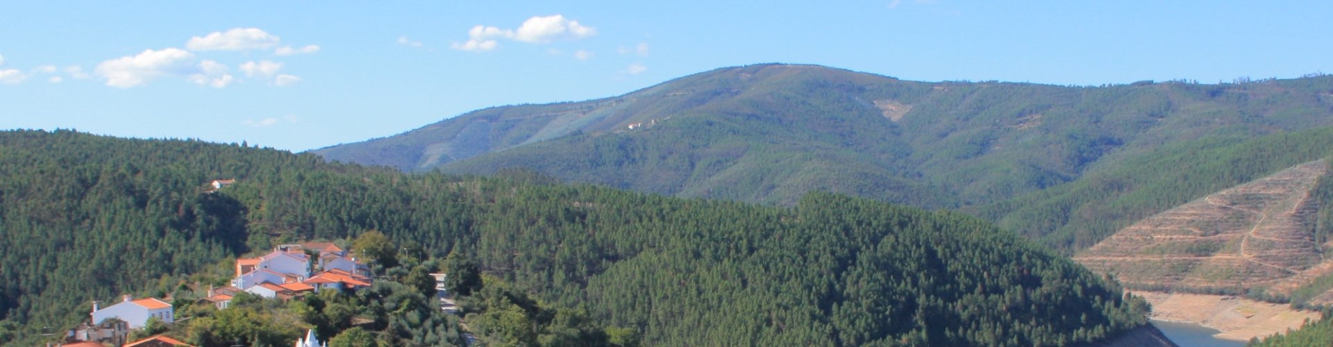 Madeirã, PT dining experience