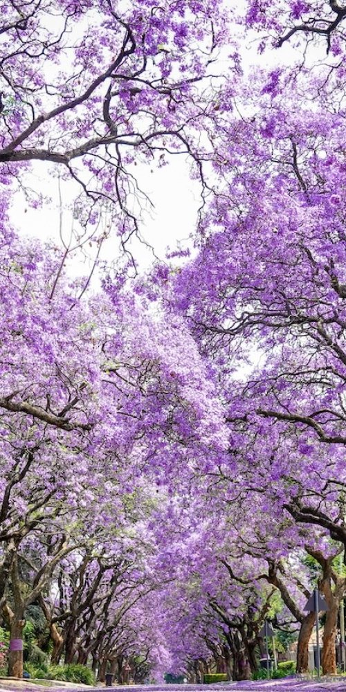 Dining ambience in Pretoria